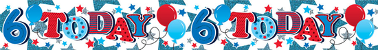 Age 6 Birthday Male Banner 2.6M 6pk
