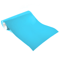 Ritrama Vinyl L Grade Gloss Light Blue 305mm x 5m