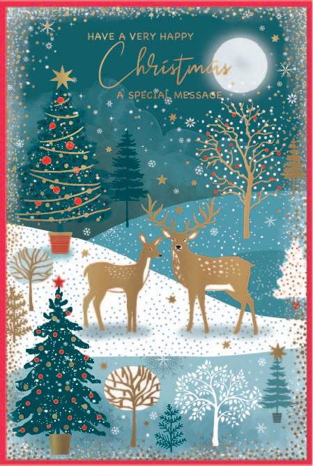 Simon Elvin 6 Pack Cards C75 Christmas Open