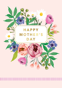 Regal 6 Pack Cards C75 Mother's Day