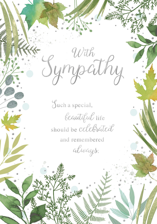 Simon Elvin C50 Sympathy 6pk