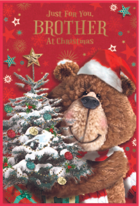 Simon Elvin 6 Pack Cards C75 Christmas Brother