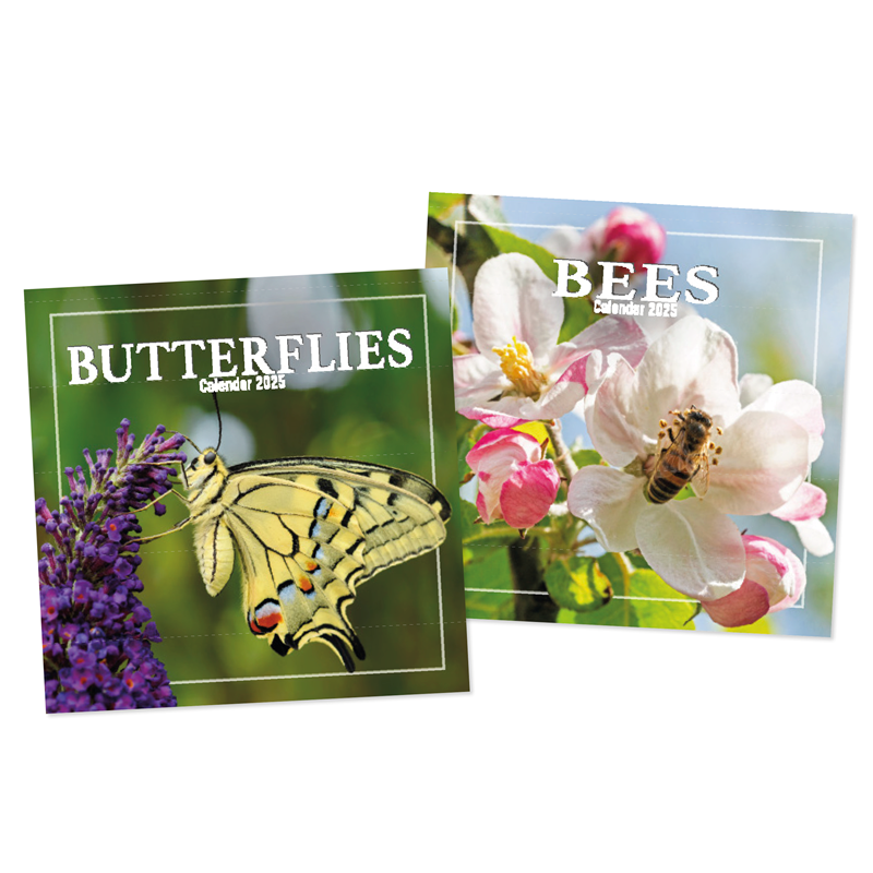 Calendar Square Bees & Butterflies 2027 12pk
