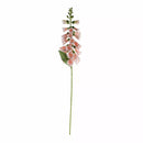 Foxglove Peach