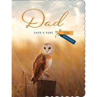 Regal 6 Pack Cards C50 Everyday Birthday Dad