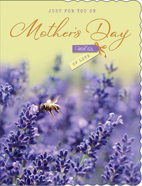 Regal 6 Pack Cards C50 Mother's Day