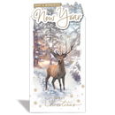 Prelude C55 Christmas & New Year 6pk