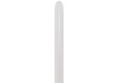 Sempertex Pearl White 260 Nozzle Up 50pk