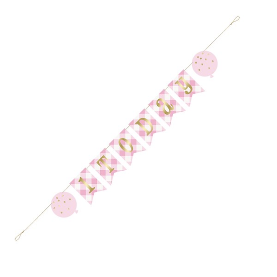 Unique Age 1 Pink Gingham Pennant Banner 6ft