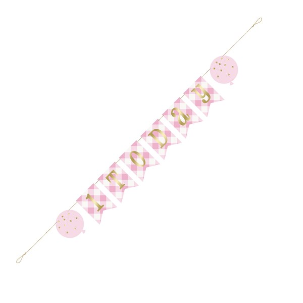 Unique Age 1 Pink Gingham Pennant Banner 6ft