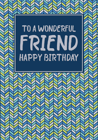 Poppyhill 12 Pack Cards C50 Birthday Friend