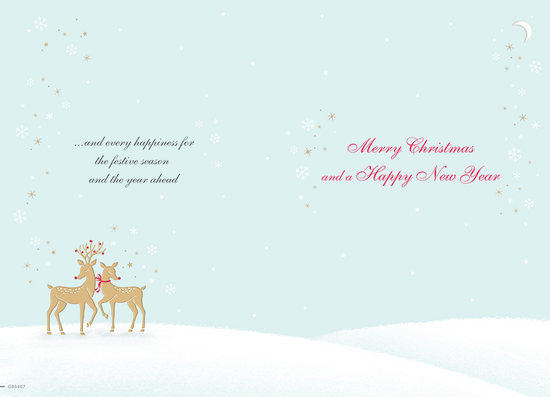 Regal 6 Pack C75 Cards Christmas Both Of You