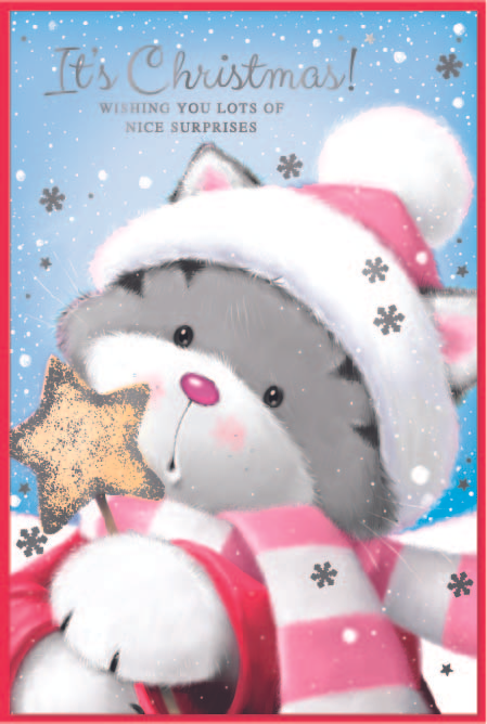 Simon Elvin 6 Pack Cards C75 Christmas Open