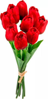 Eleganza Tulip Bunch Red (9 Heads)