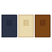 Diary A5 WTV Chino Embossed 2027 12pk