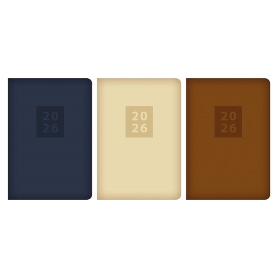 Diary A5 WTV Chino Embossed 2027 12pk