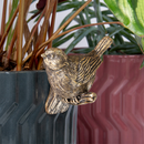 Plant Pot Pals Robin