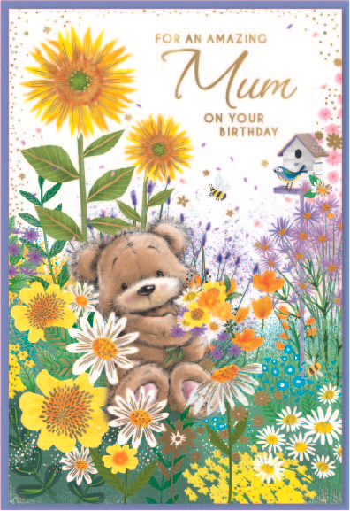 Simon Elvin 6 Pack Cards C50 Birthday Mum