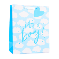 Tiger Feet 6 Pack Gift Bag It's A Boy Extra Large