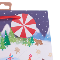 Tiger Feet Gift Bag Scene Extra Large 12pk
