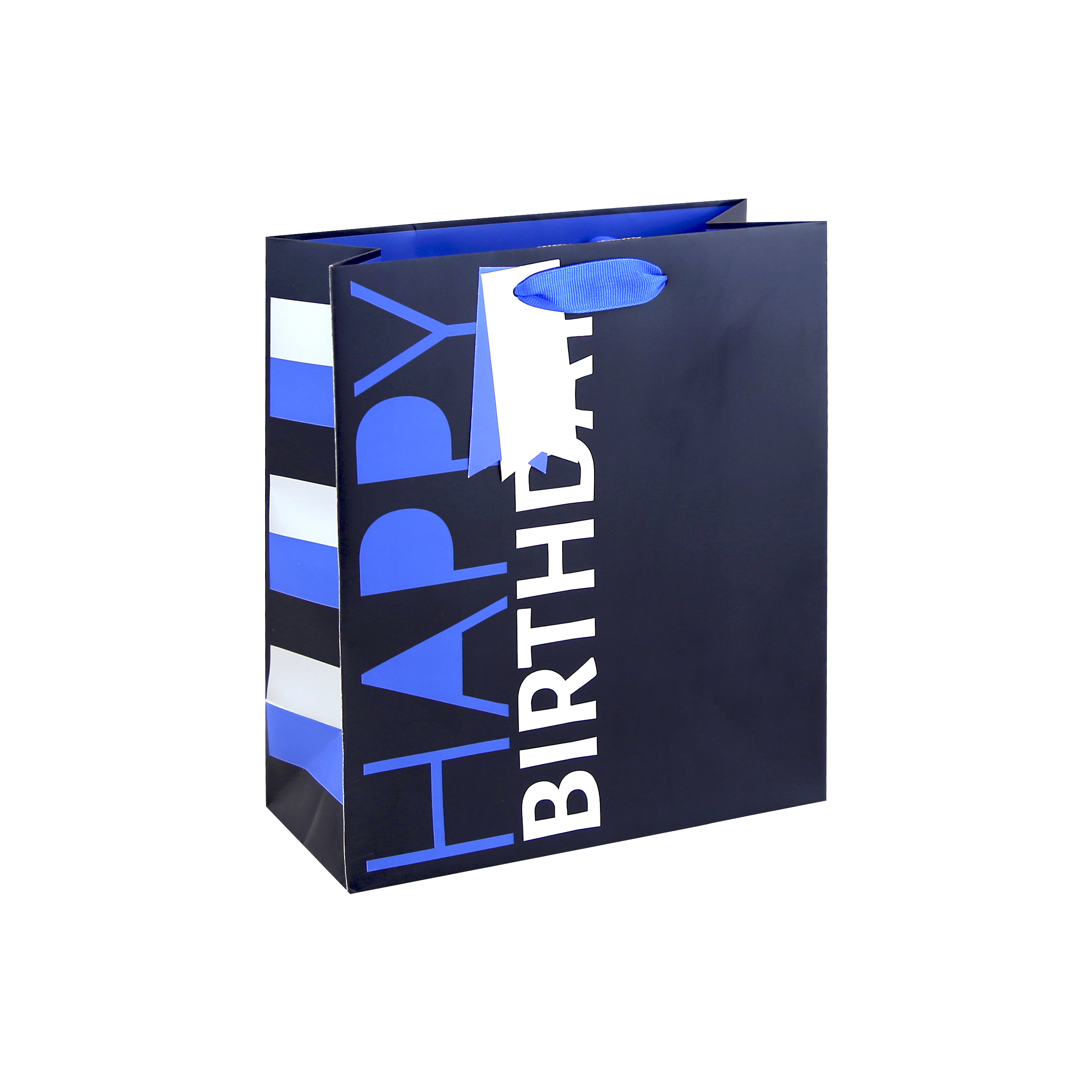Eurowrap 6 Pack Gift Bag Navy Birthday Medium