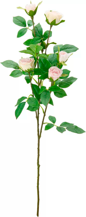Eleganza Rose Spray Cream/Light Pink (6 Heads)