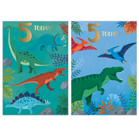 Poppyhill 12 Pack Cards C50 Birthday Age 5