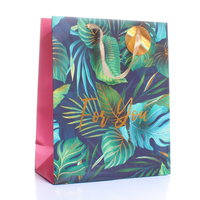 Tiger Feet 6 Pack Gift Bag Leaves Large