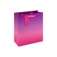 Eurowrap 6 Pack Gift Bag Pink Ombre Medium