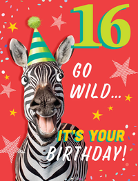 Regal 6 Pack Cards 8x6 Birthday Age 16