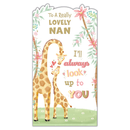 Prelude C55 Birthday Nan 6pk