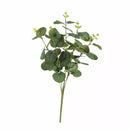 Eucalyptus Bush Green