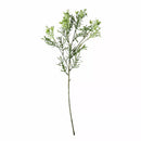 Broom Bloom Green