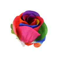 Artificial Rose In Acetate 45cm Rainbow 24pk