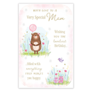 Prelude C375 Birthday Mam 6pk