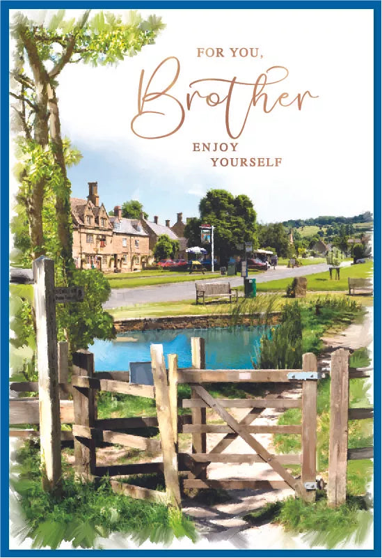 Simon Elvin C50 birthday brother card pack featuring six colorful greeting cards for celebrating brothers.
