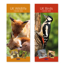 Tallon 24-pack UK Birds & Wildlife calendar set, featuring slim design and wildlife images for each month.
