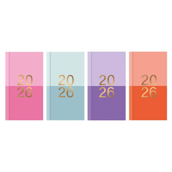 Diary Slim WTV Contemporary Assorted 2027 24pk