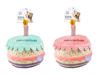 Birthday Cake Dog Toy (Colour May Vary)