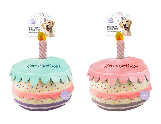 Birthday Cake Dog Toy (Colour May Vary)
