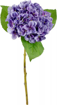 Eleganza Small Head Hydrangea Lavender