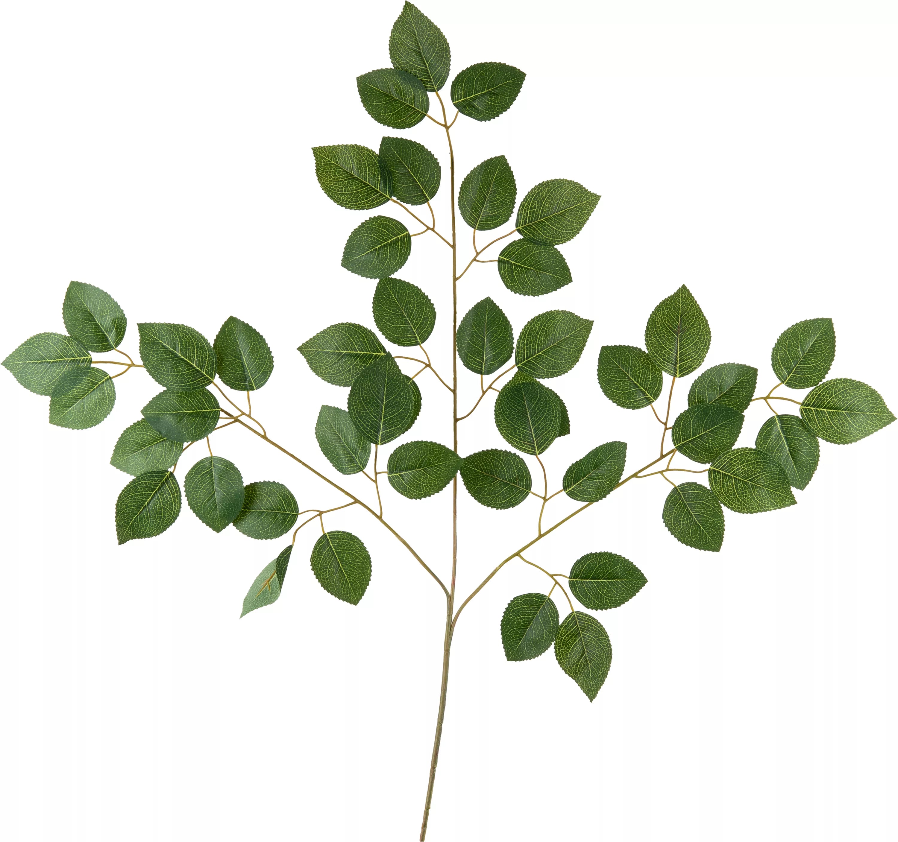 Eleganza Rose Leaves W/3 Stems Green 28