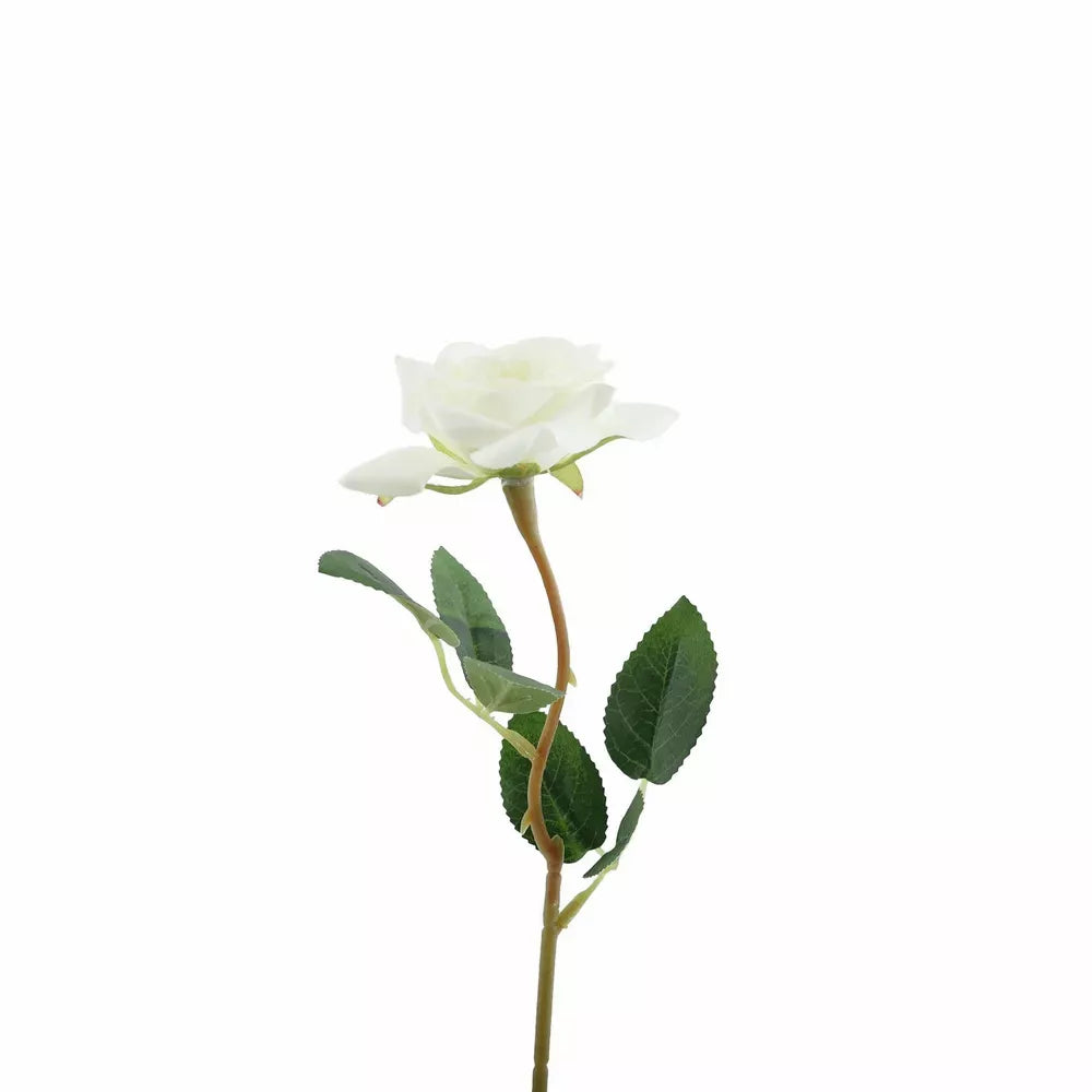 Rose White