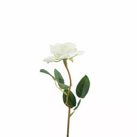 Rose White