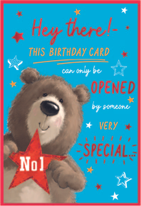 Simon Elvin 6 Pack Cards C50 Birthday