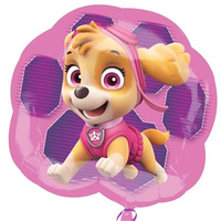 Anagram Skye & Everest 25" Foil Balloon