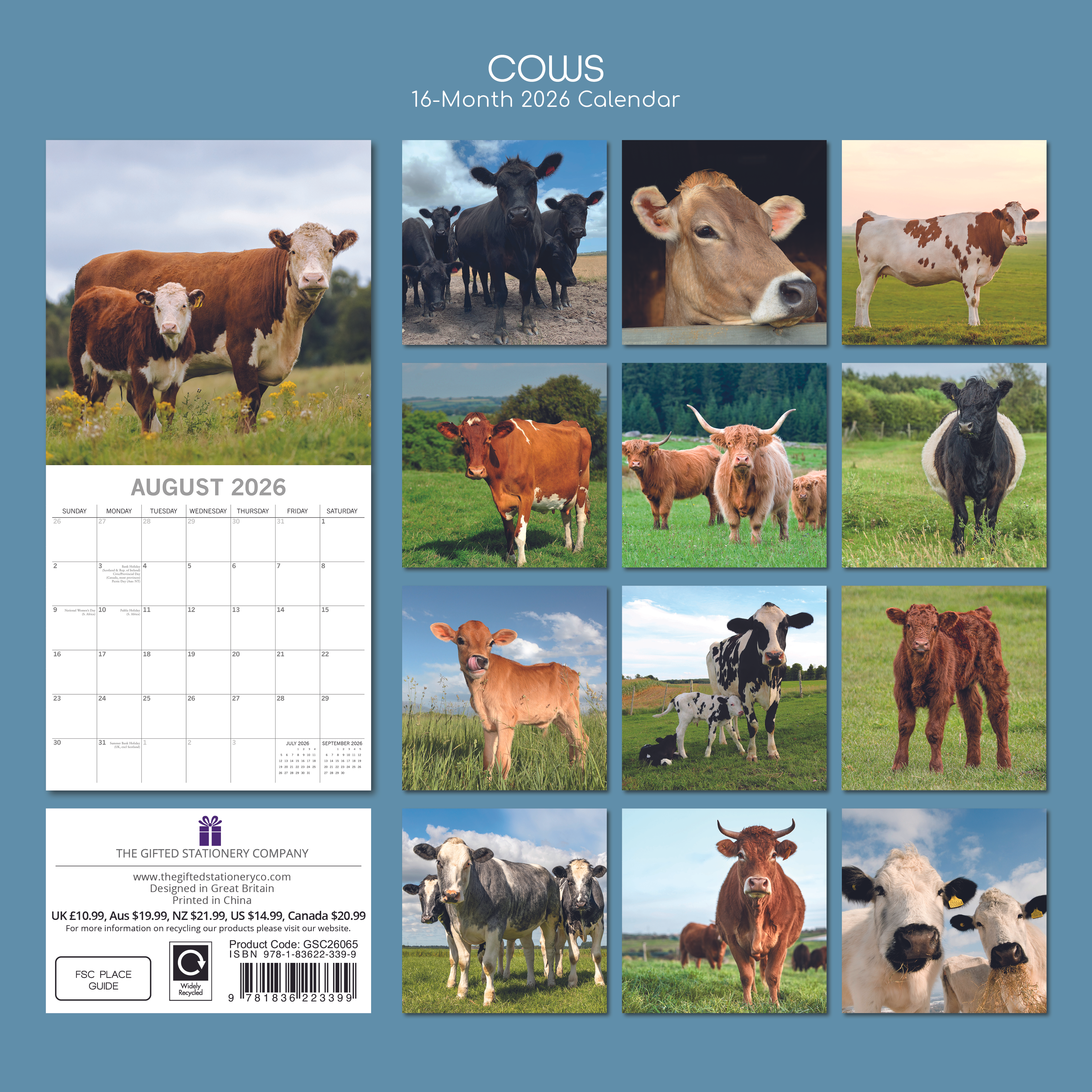 Gifted Stationery Calendar Cows 2027