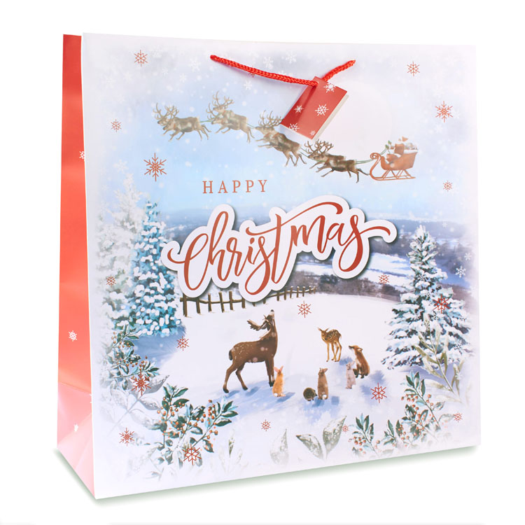 12pk Giant Square Gift Bags Outdoor Scene