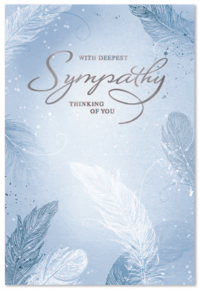 Simon Elvin C50 Sympathy Assortment 12x6pk