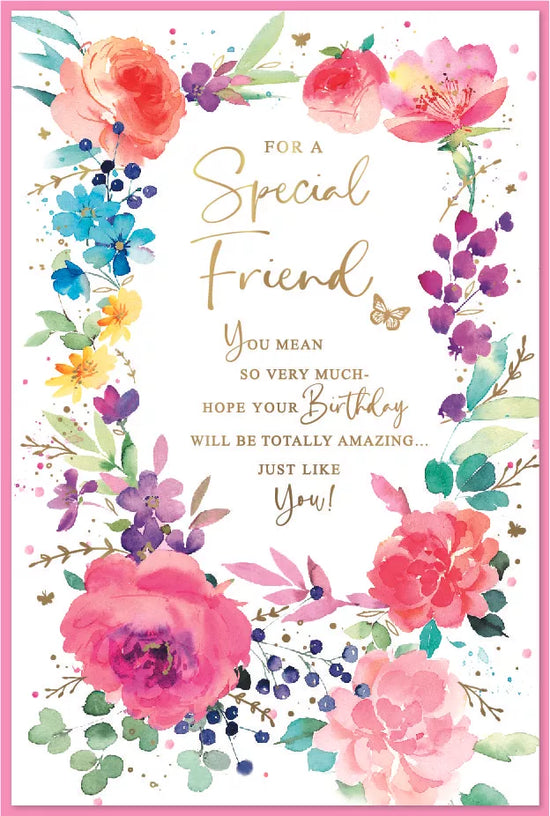 Simon Elvin C75 Birthday Special Friend 6pk